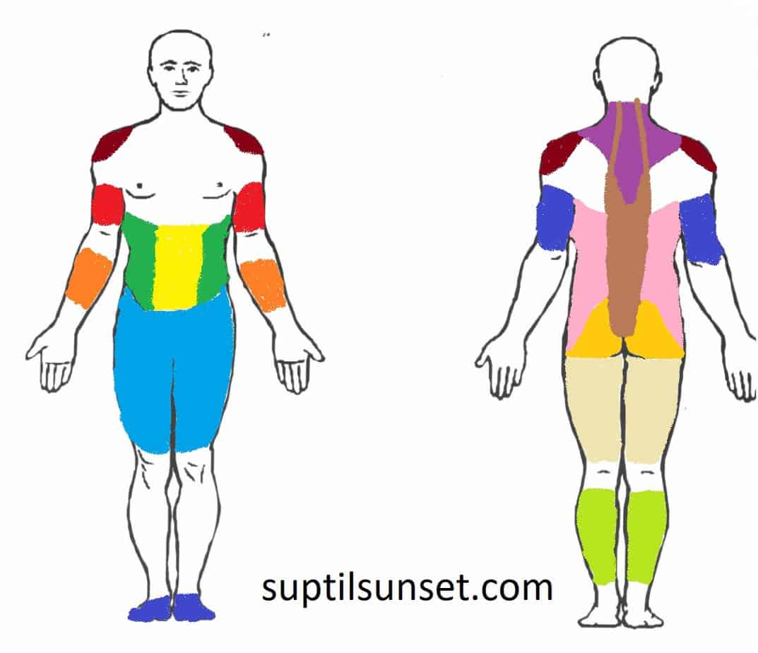 What Muscles Do You Use When Paddleboarding Suptilsunset